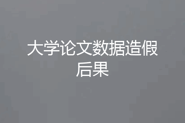 大学论文数据造假后果