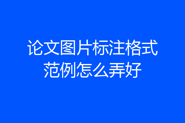 论文图片标注格式范例怎么弄好