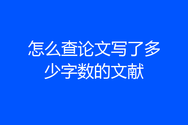 怎么查论文写了多少字数的文献