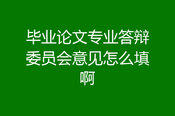 毕业论文专业答辩委员会意见怎么填啊