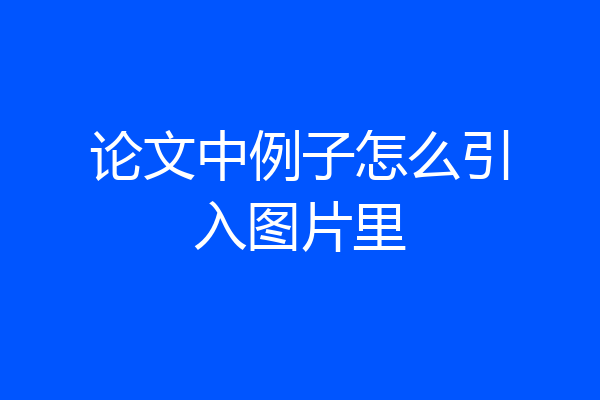 论文中例子怎么引入图片里