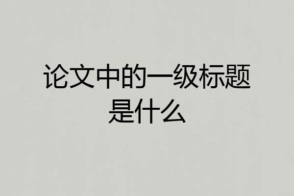 论文中的一级标题是什么