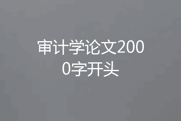 审计学论文2000字开头