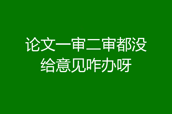 论文一审二审都没给意见咋办呀