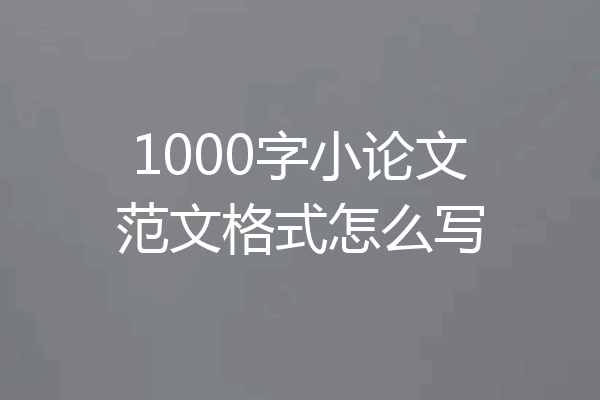 1000字小论文范文格式怎么写