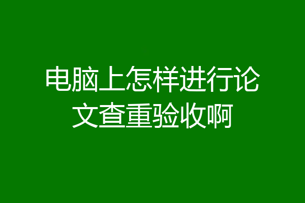 电脑上怎样进行论文查重验收啊