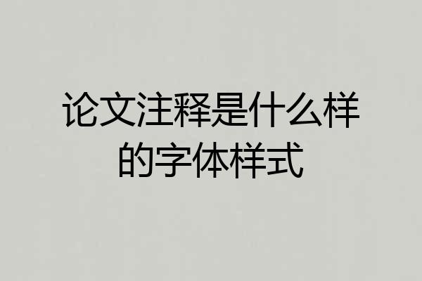 论文注释是什么样的字体样式