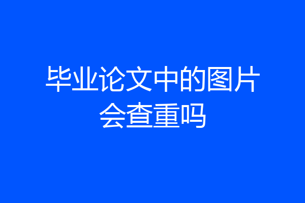 毕业论文中的图片会查重吗