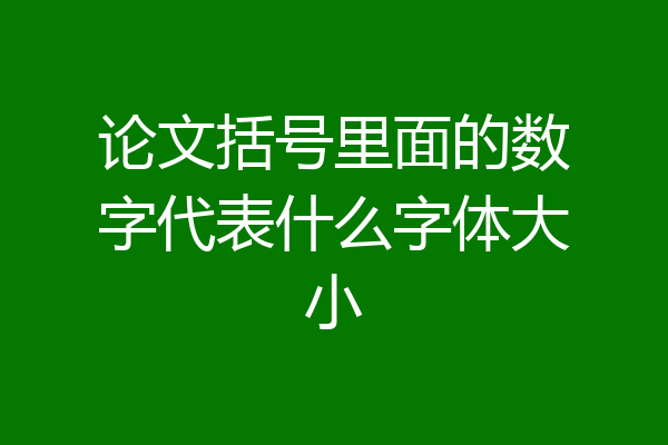 论文括号里面的数字代表什么字体大小