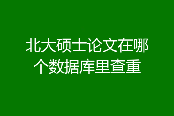 北大硕士论文在哪个数据库里查重