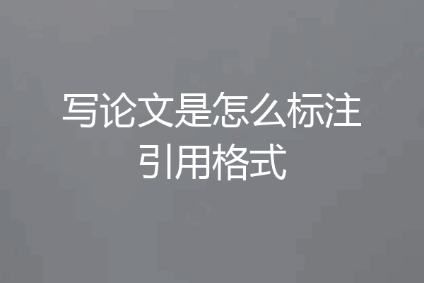 写论文是怎么标注引用格式