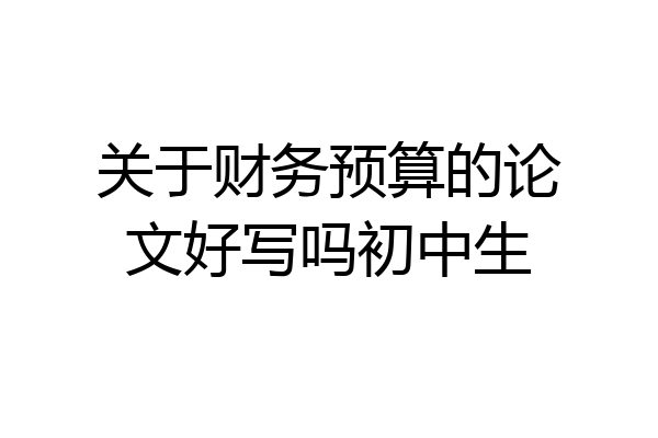 关于财务预算的论文好写吗初中生