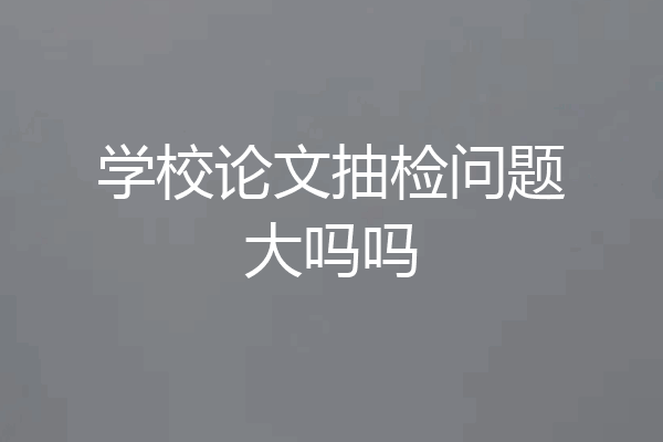 学校论文抽检问题大吗吗
