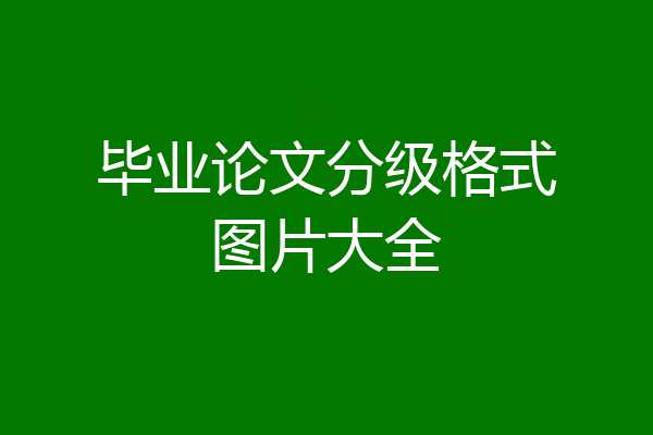 毕业论文分级格式图片大全