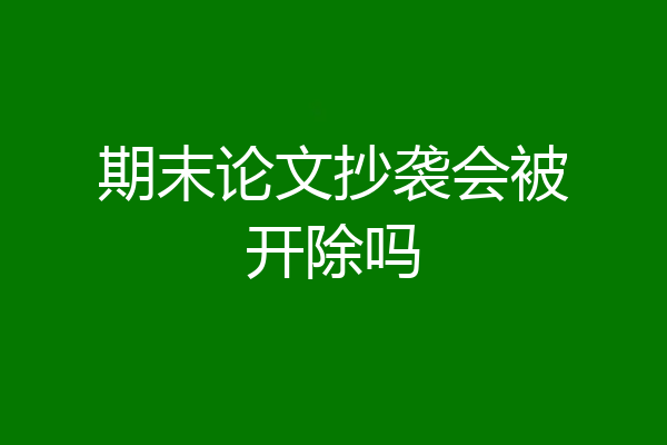 期末论文抄袭会被开除吗