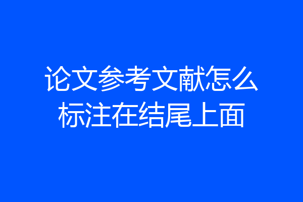 论文参考文献怎么标注在结尾上面