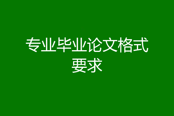 专业毕业论文格式要求