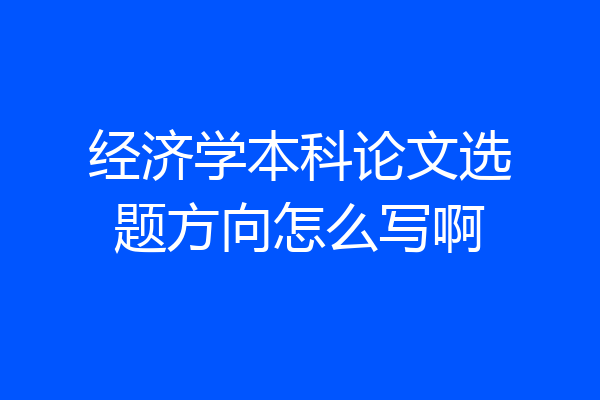 经济学本科论文选题方向怎么写啊