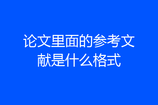 论文里面的参考文献是什么格式