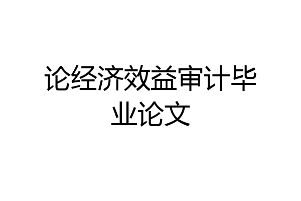 论经济效益审计毕业论文