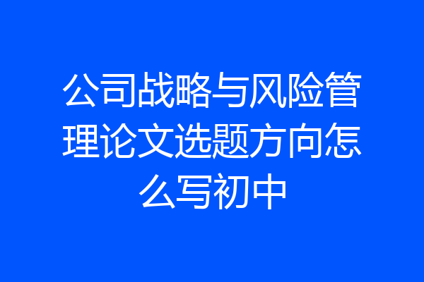 公司战略与风险管理论文选题方向怎么写初中