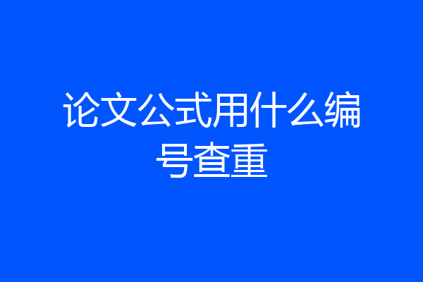 论文公式用什么编号查重