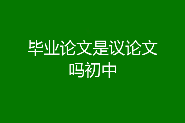 毕业论文是议论文吗初中