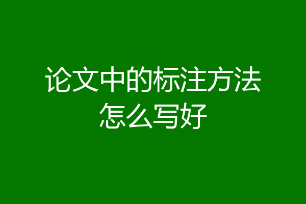 论文中的标注方法怎么写好