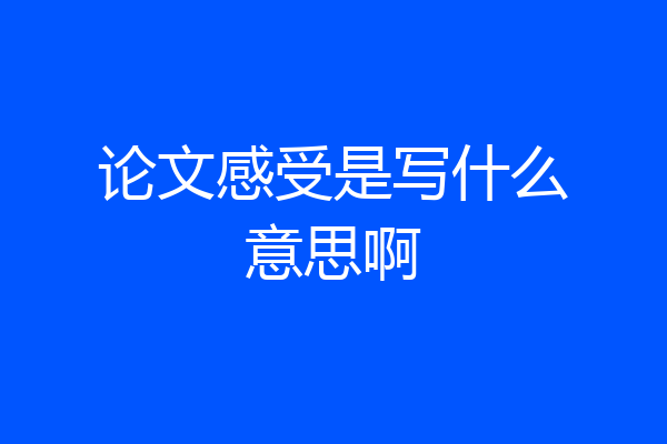 论文感受是写什么意思啊