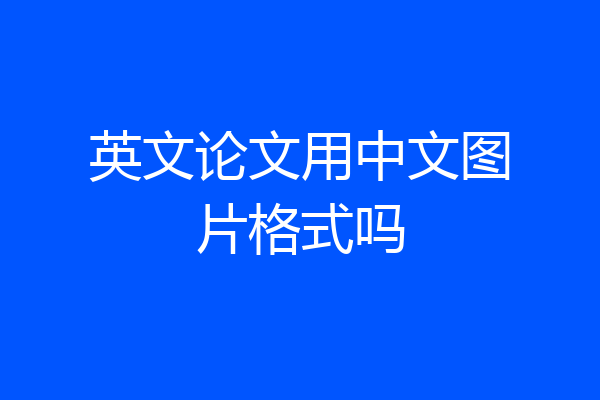 英文论文用中文图片格式吗