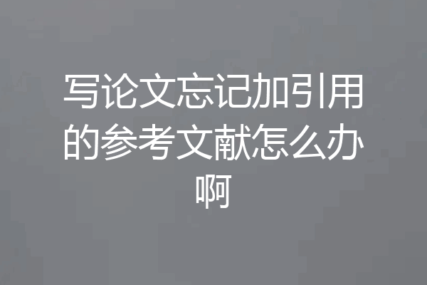 写论文忘记加引用的参考文献怎么办啊