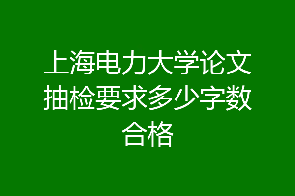 上海电力大学论文抽检要求多少字数合格
