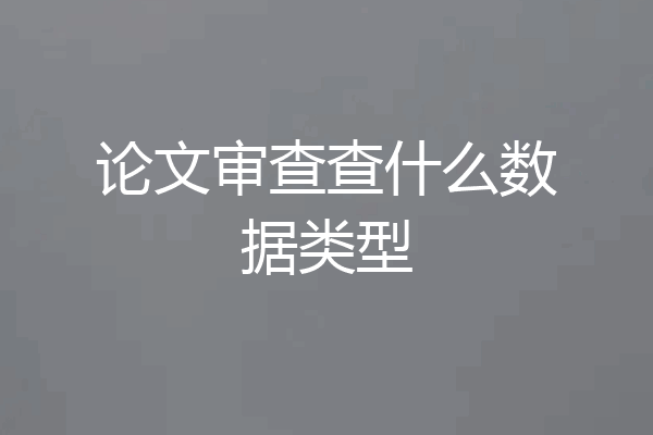 论文审查查什么数据类型