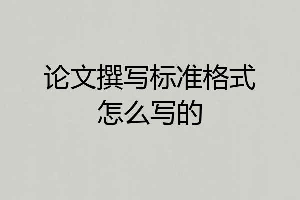论文撰写标准格式怎么写的