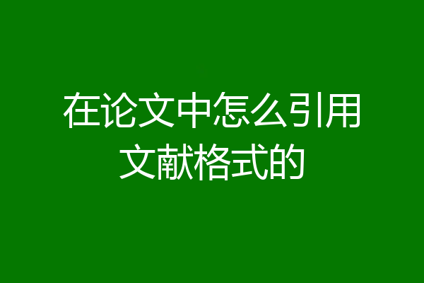 在论文中怎么引用文献格式的