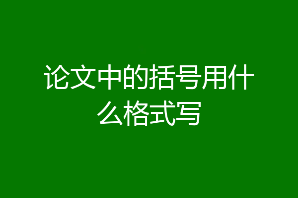 论文中的括号用什么格式写