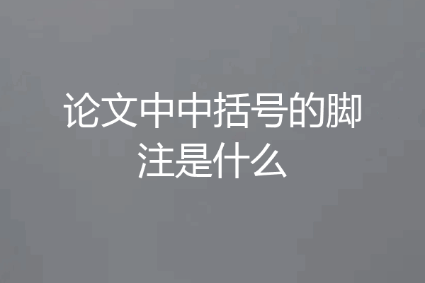论文中中括号的脚注是什么