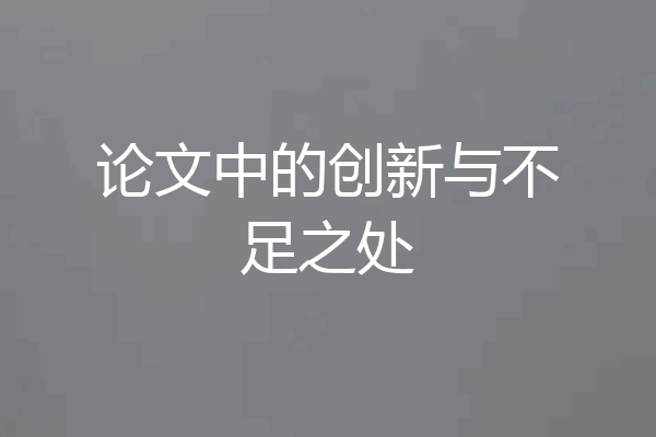 论文中的创新与不足之处
