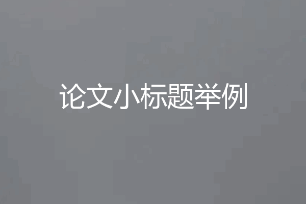 论文小标题举例