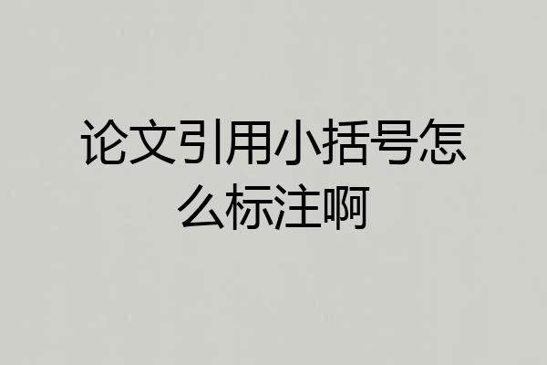 论文引用小括号怎么标注啊