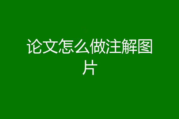 论文怎么做注解图片