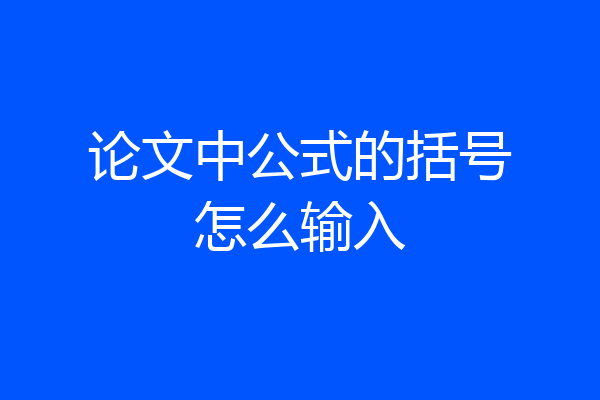 论文中公式的括号怎么输入