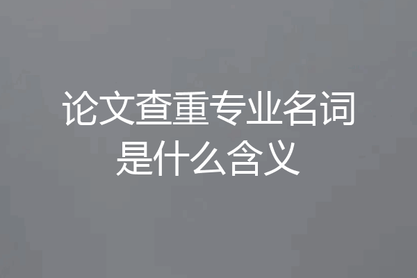 论文查重专业名词是什么含义