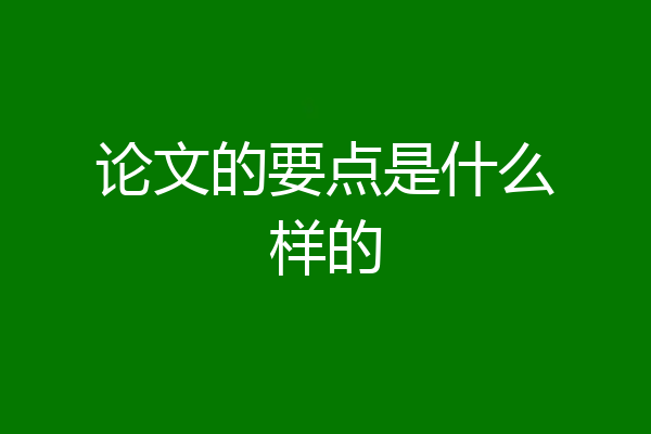 论文的要点是什么样的