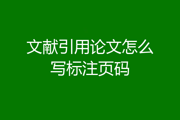 文献引用论文怎么写标注页码
