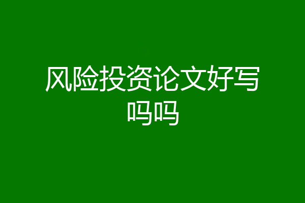 风险投资论文好写吗吗