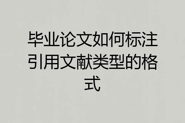 毕业论文如何标注引用文献类型的格式