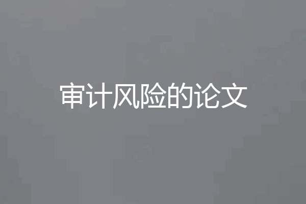 审计风险的论文