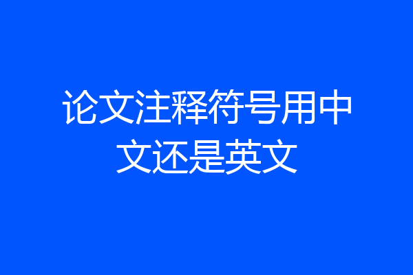 论文注释符号用中文还是英文