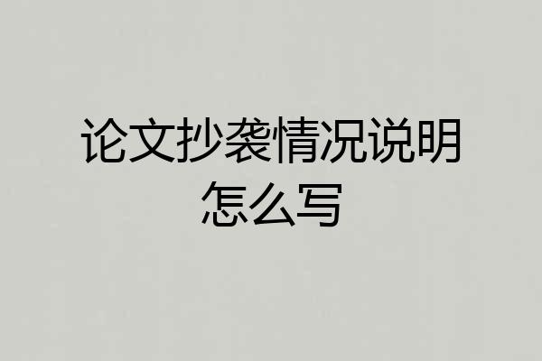 论文抄袭情况说明怎么写